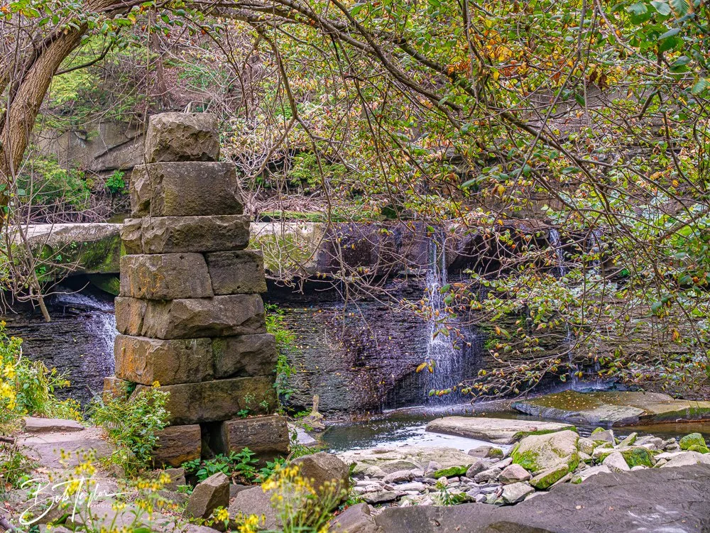 20250913-Cuyahoga Hikes -44.jpg