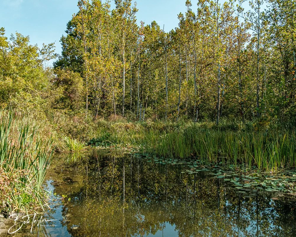 20250913-Cuyahoga Hikes -5.jpg