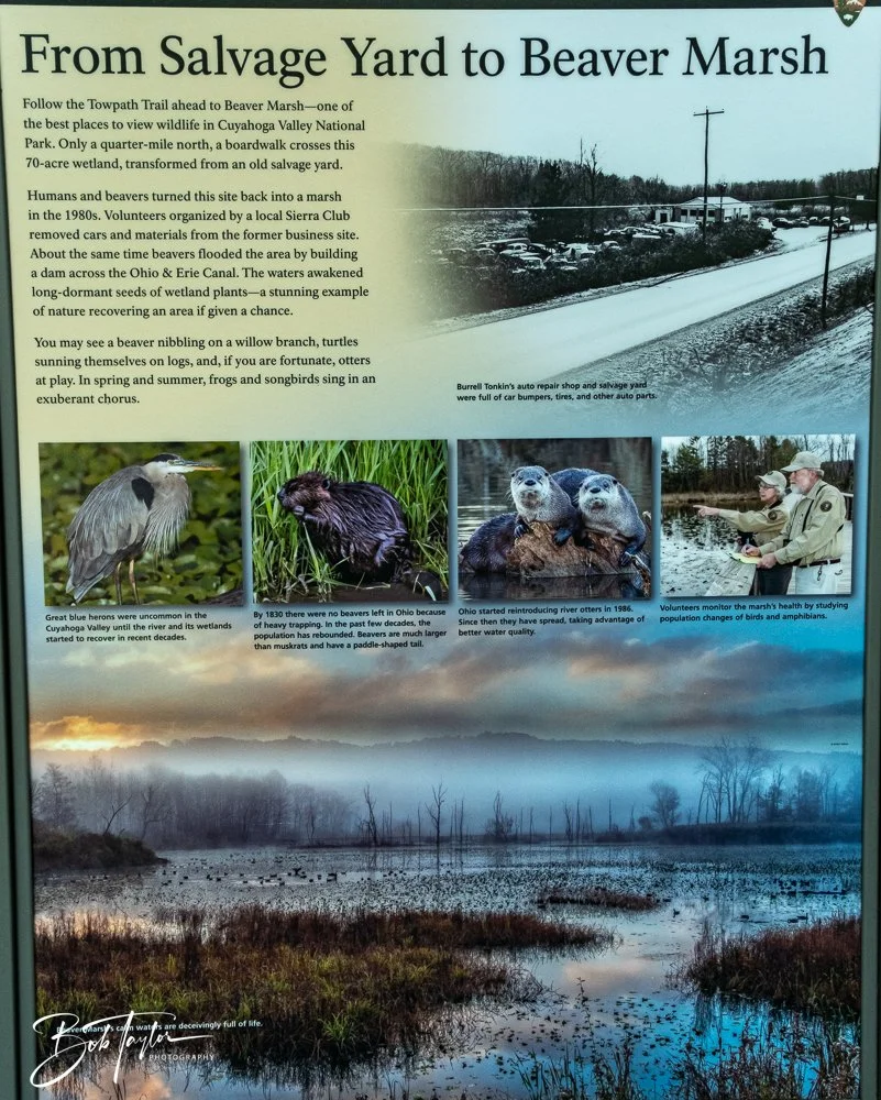 20250913-Cuyahoga Hikes -13.jpg