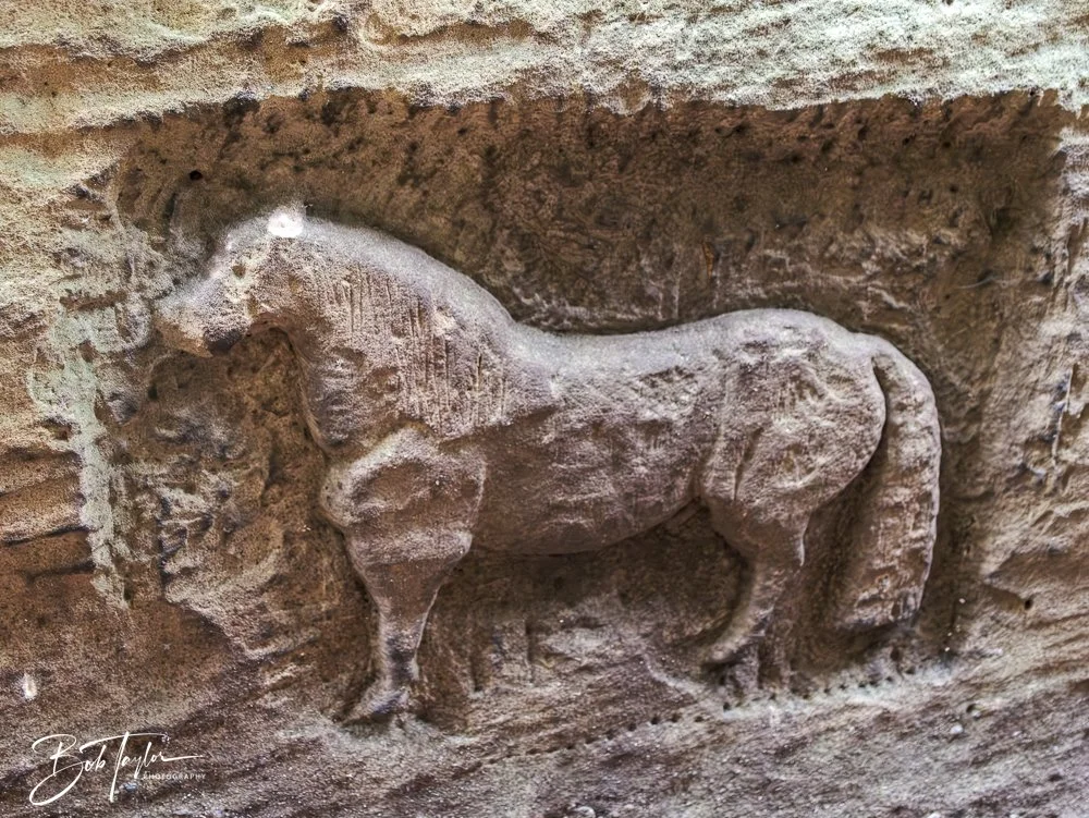 20250913-Ledges -18.jpg