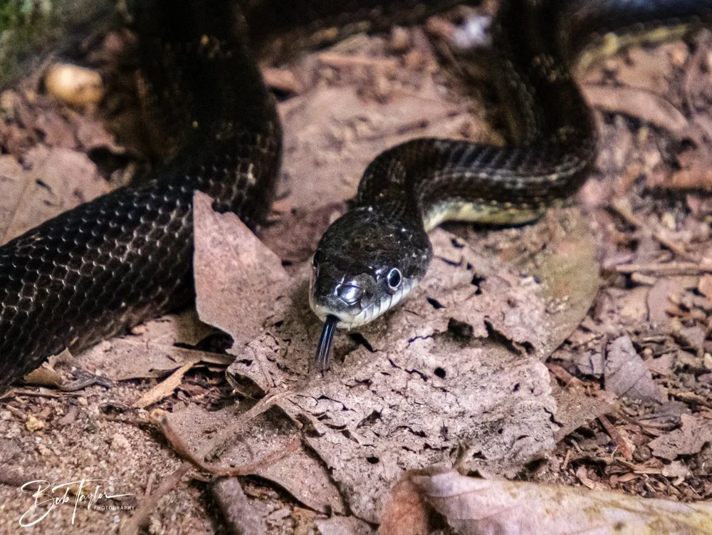 20250913-Ledges -21.jpg