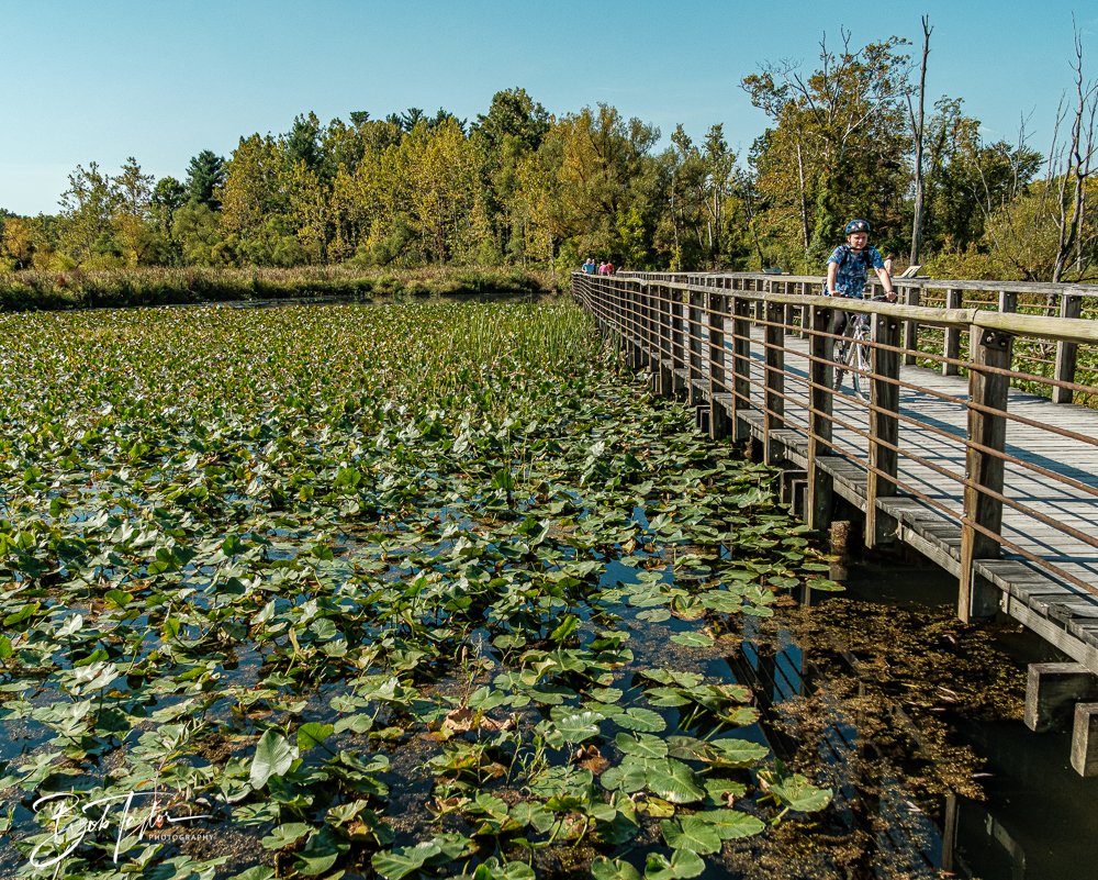 20250913-Cuyahoga Hikes -6.jpg
