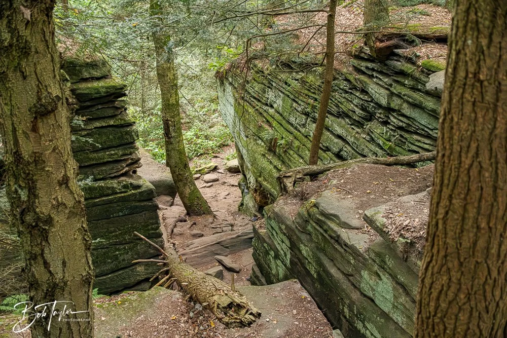 20250913-Ledges -1.jpg