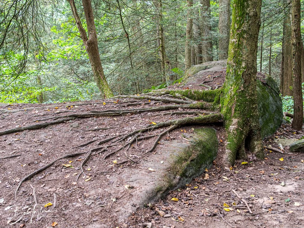 20250913-Ledges -11.jpg