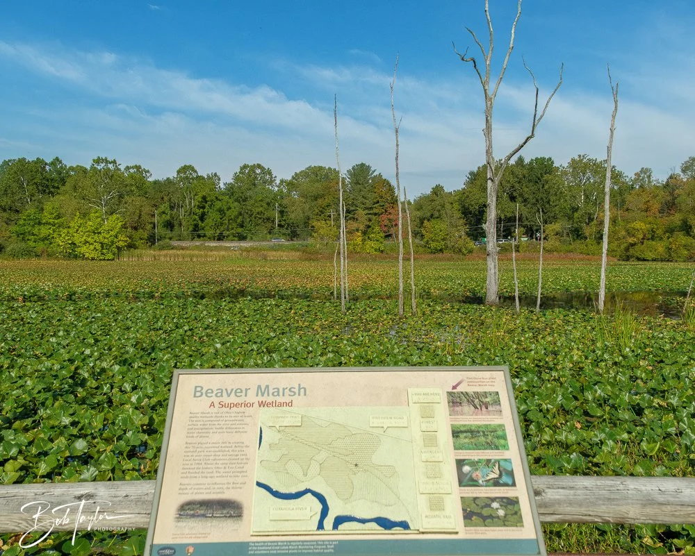 20250913-Cuyahoga Hikes -4.jpg