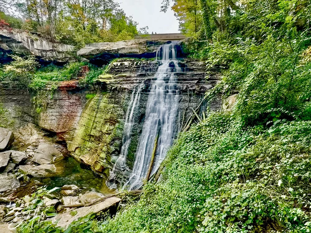 20250913-Cuyahoga Hikes -31.jpg