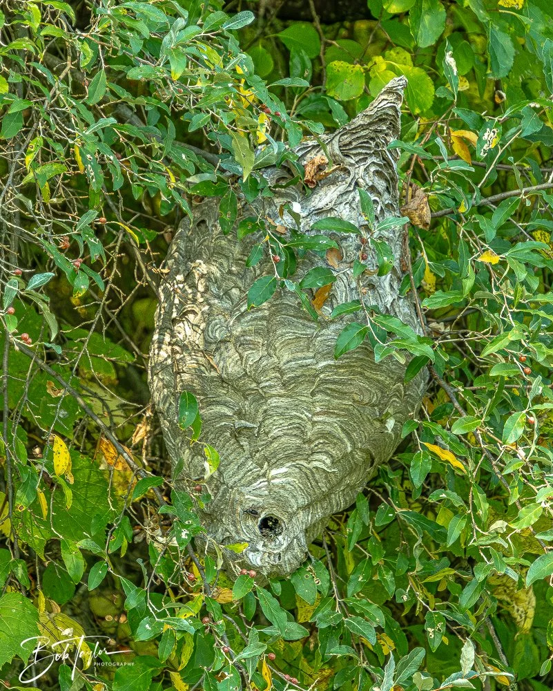 20250913-Cuyahoga Hikes -10.jpg