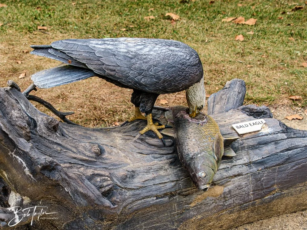 20250913-Cuyahoga Hikes -33.jpg