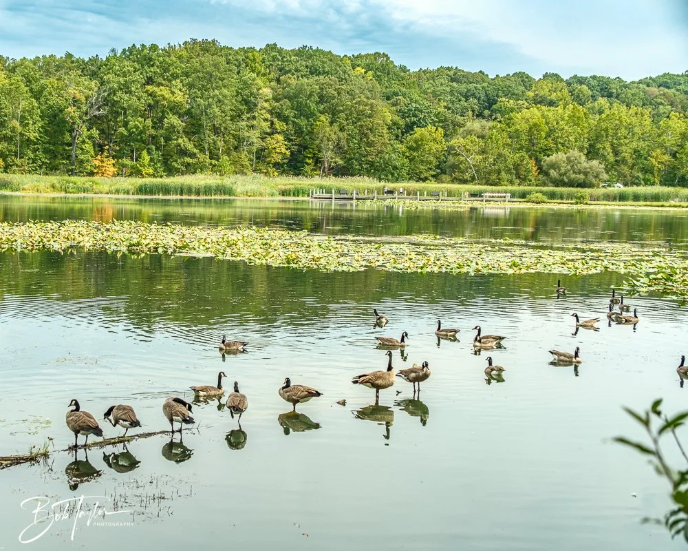 20250913-Cuyahoga Hikes -21.jpg