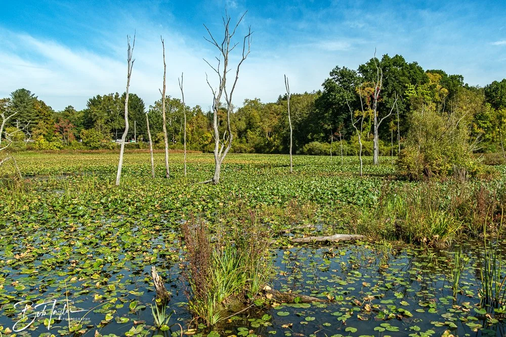 20250913-Cuyahoga Hikes -3.jpg