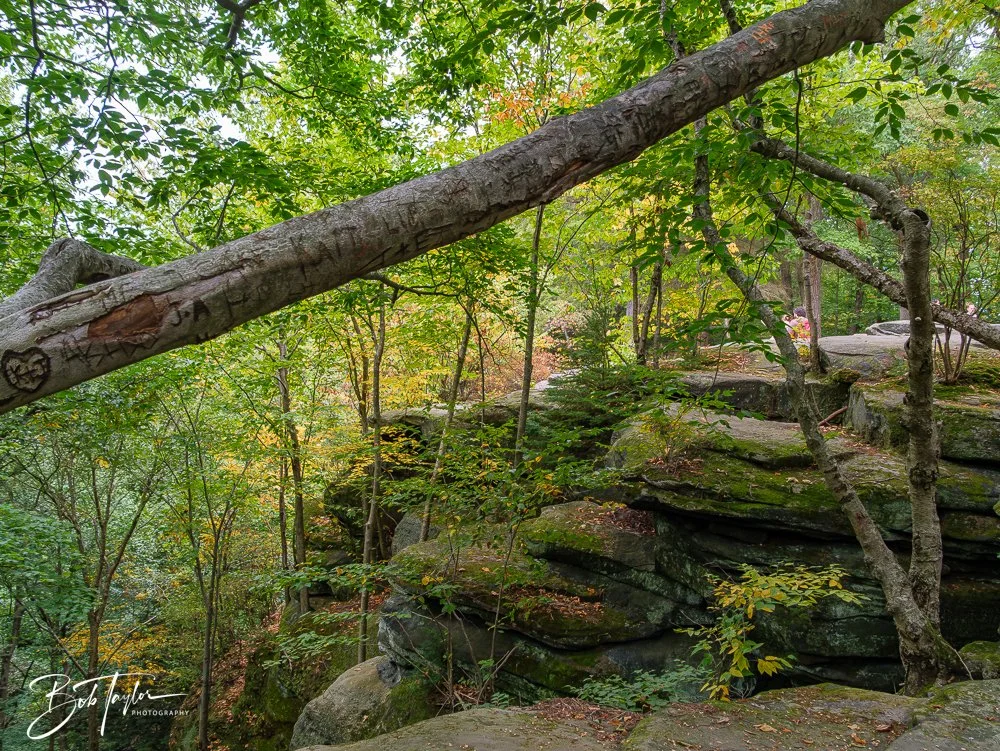 20250913-Ledges -32.jpg