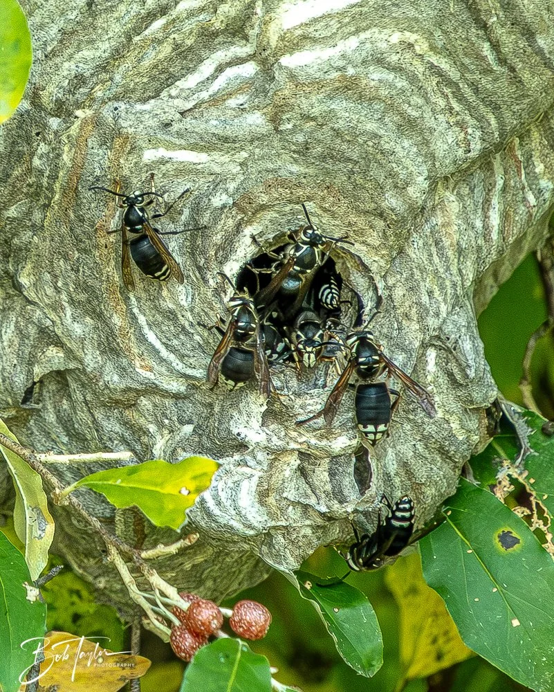 20250913-Cuyahoga Hikes -11.jpg