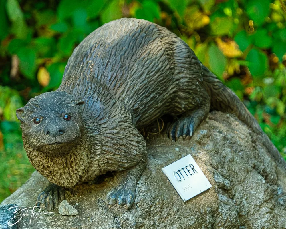 20250913-Cuyahoga Hikes -14.jpg