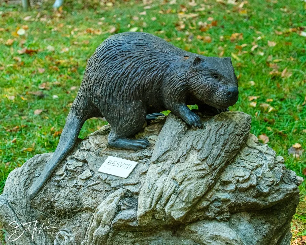 20250913-Cuyahoga Hikes -12.jpg