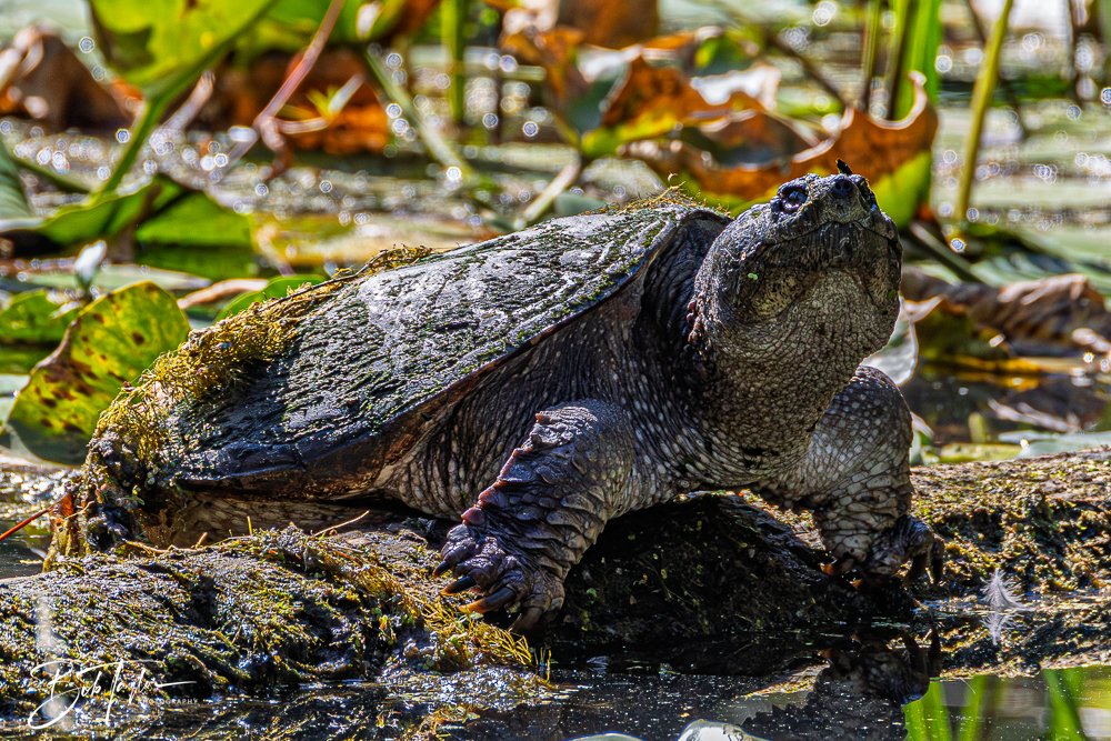 20250914-Cuyahoga Hikes -52.jpg