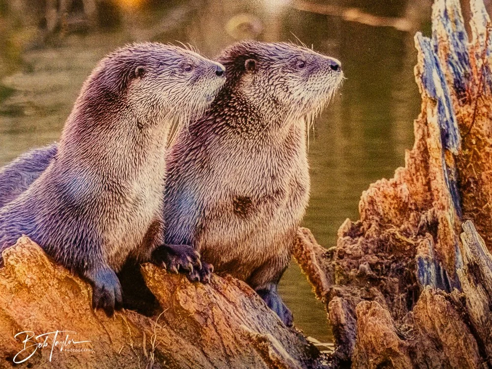 20250913-Cuyahoga Hikes -26.jpg