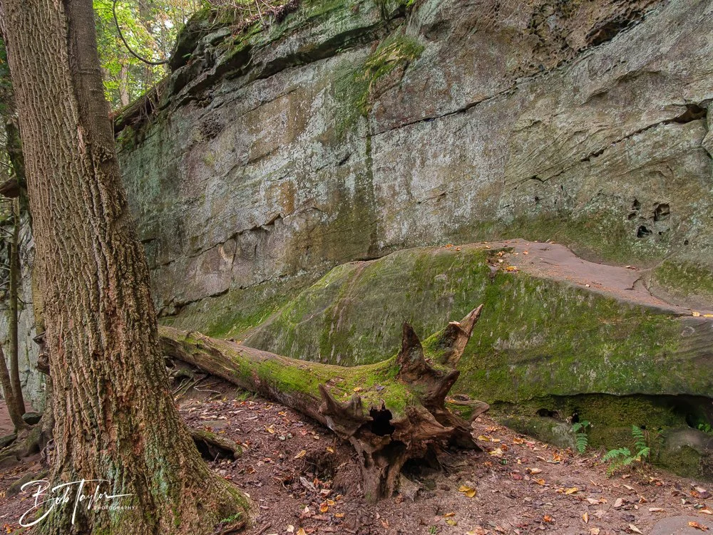 20250913-Ledges -22.jpg