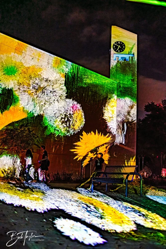 20251107-Eye Sore -21.jpg