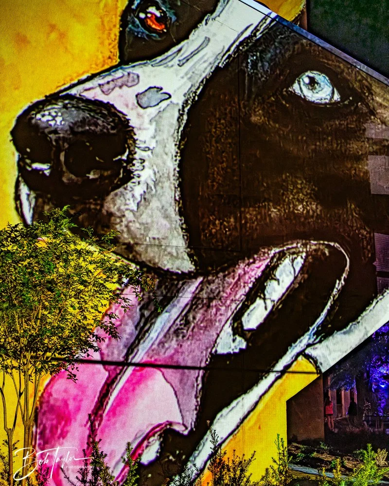 20251107-Eye Sore -25.jpg