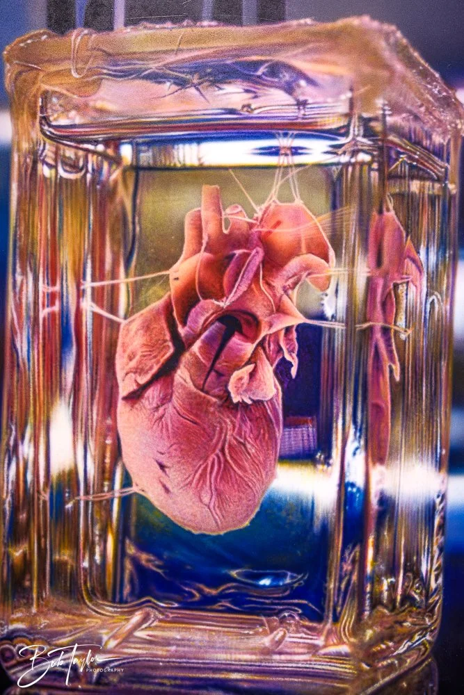 20251107-Eye Sore -13.jpg