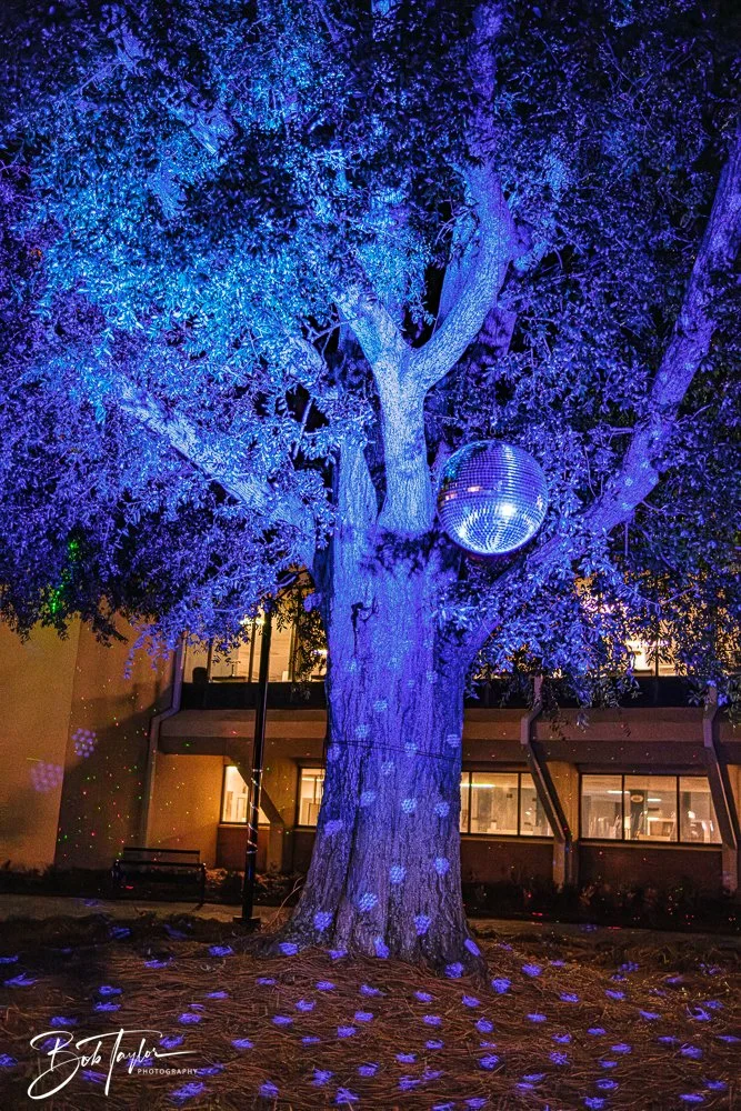 20251107-Eye Sore -31.jpg