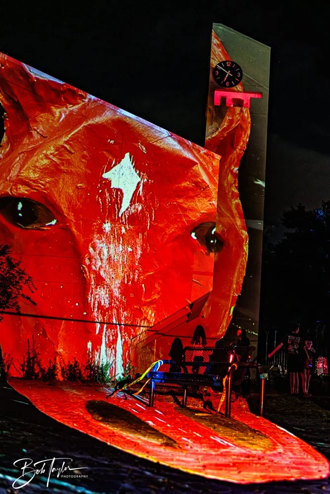 20251107-Eye Sore -20.jpg