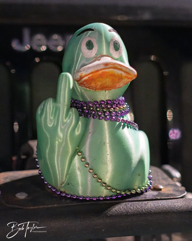 20251107-Eye Sore -72.jpg