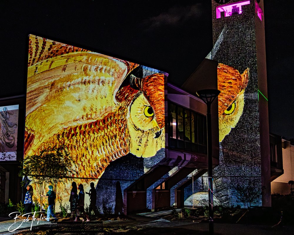 20251107-Eye Sore -18.jpg