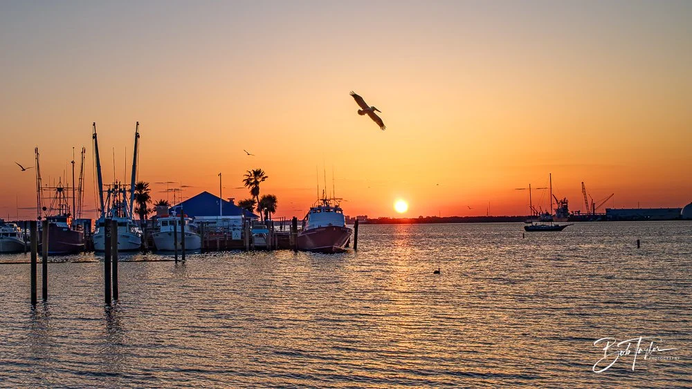 20250408-20250408-Scratch 2020 R -2.jpg