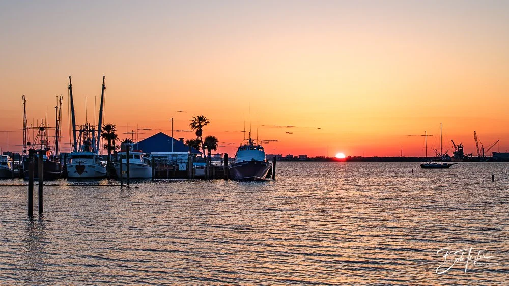 20250408-20250408-Scratch 2020 R -3.jpg