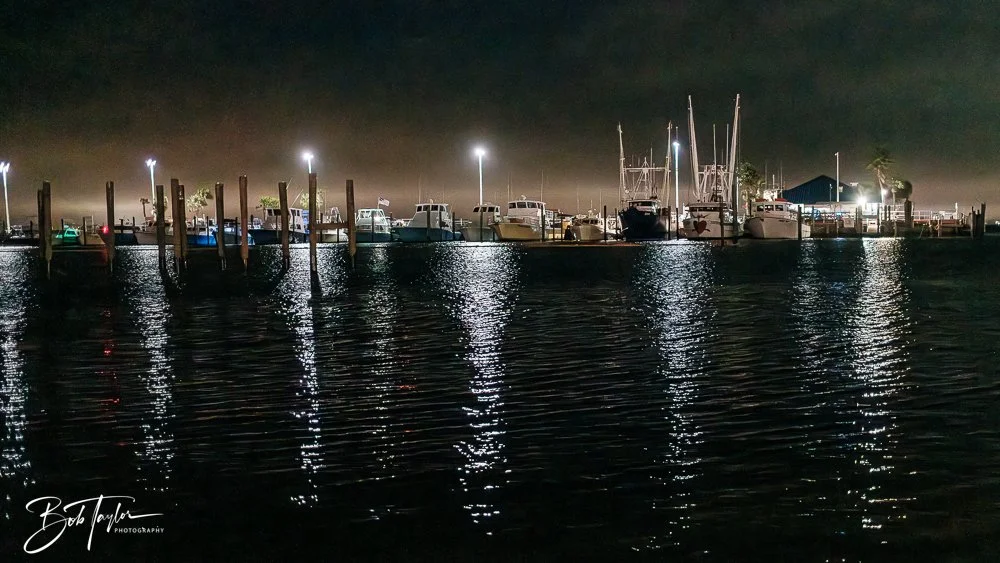 20250402-20250402-Scratch 2020 L -9.jpg