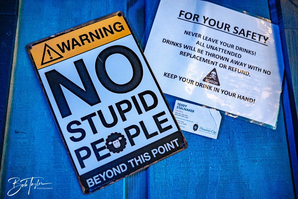 20250520-20250520-Scratch 2020 -31.jpg