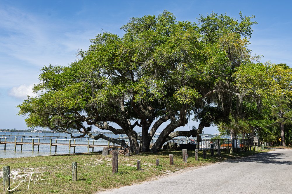 20250427-Houses -46.jpg