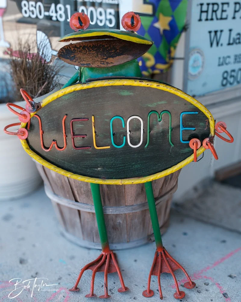 20250228-Photo Walk -21.jpg