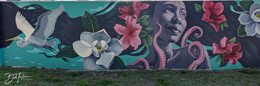 20250427-Houses -9.jpg