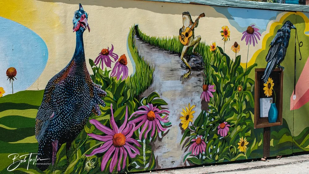 20250228-Photo Walk -18.jpg