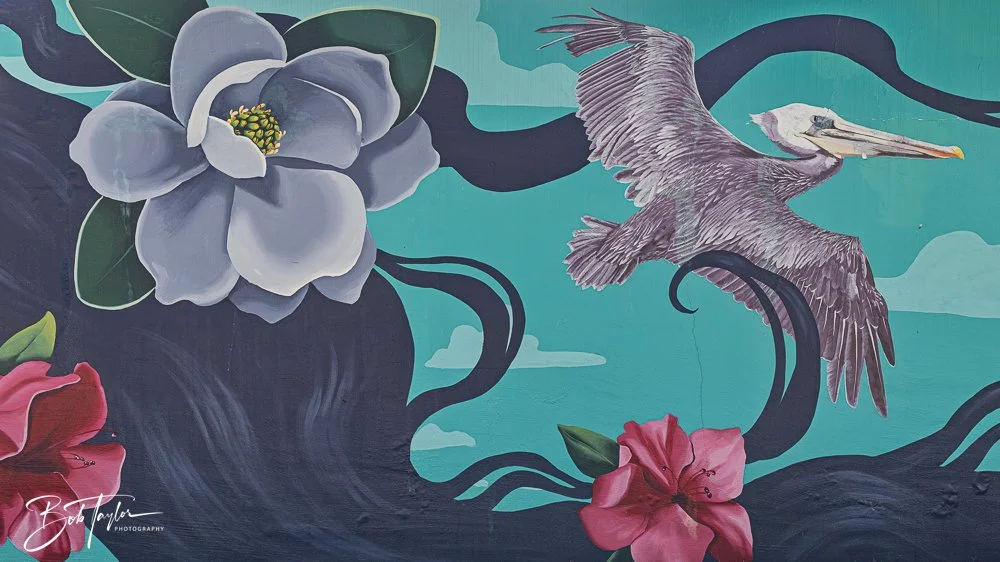 20250427-Houses -11.jpg