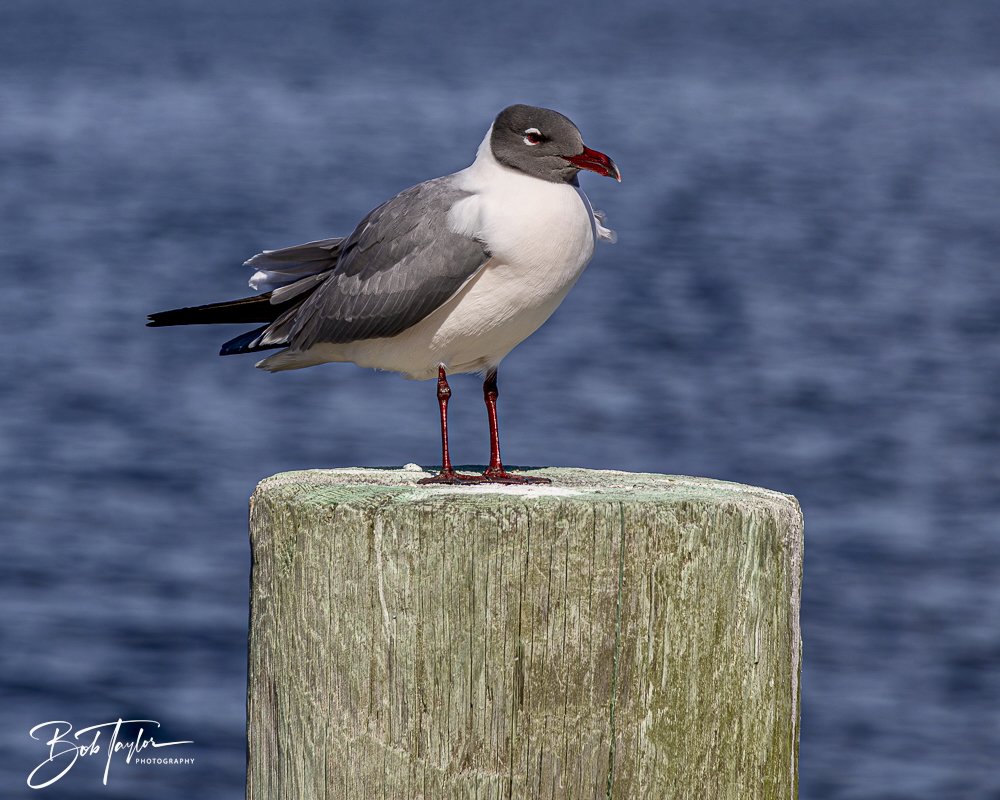 20250326-Walk Around -26.jpeg