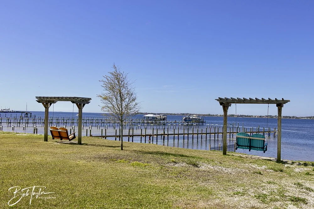 20250326-Walk Around -38.jpeg