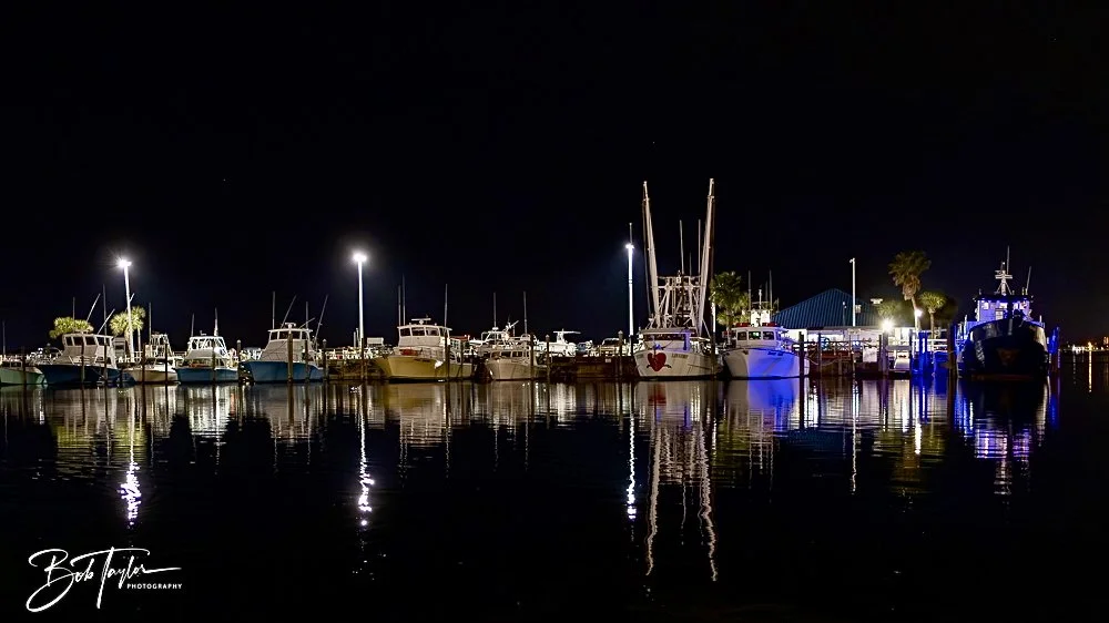 20250222-Walk Around -2.jpeg