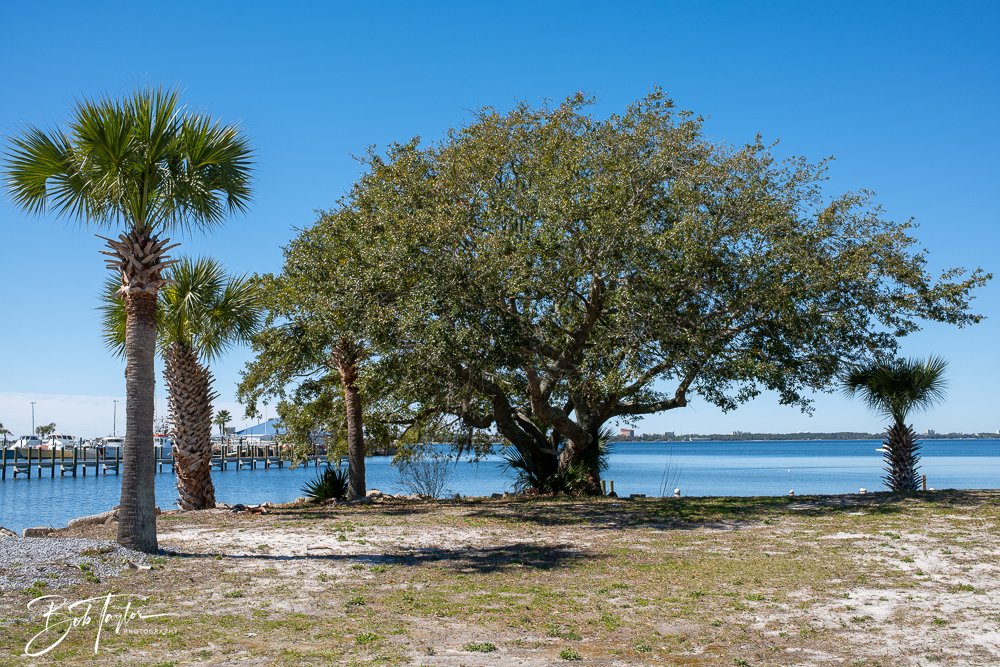 20250228-Photo Walk 2 -1.jpg