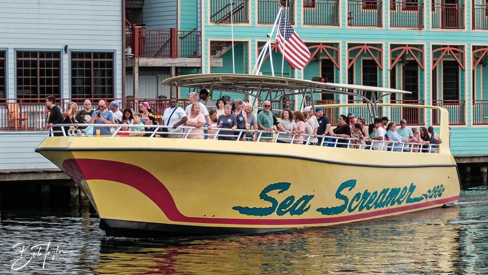 20250521-Evening Walk -9.jpg