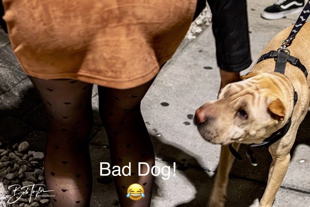 20250214-The Dive Mind Plays -30.jpeg