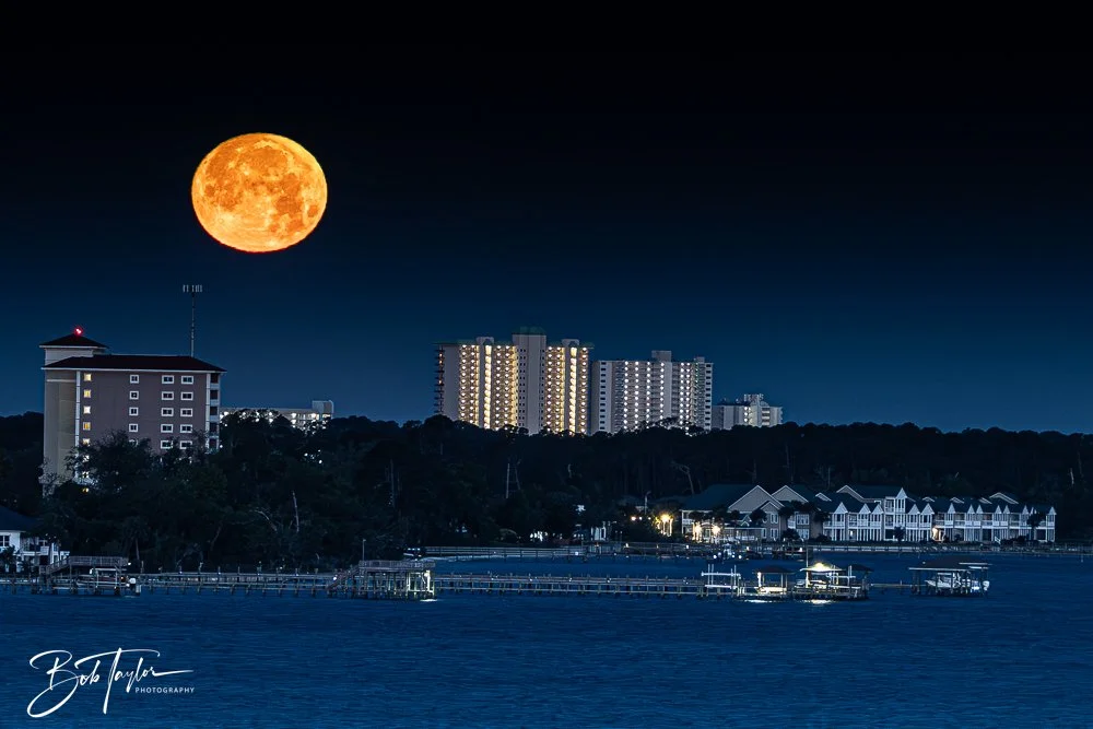 20250412-SA at Night -7.jpg