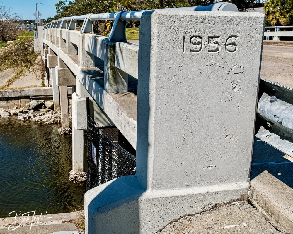 20250228-Walk Around -18.jpeg