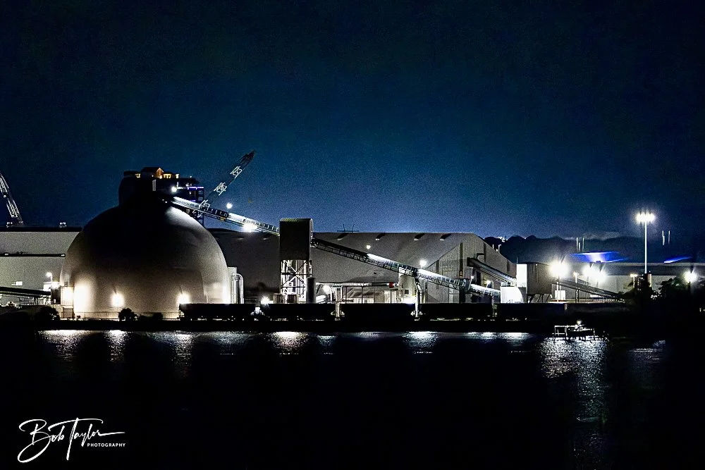 20250224-Walk Around -8.jpeg