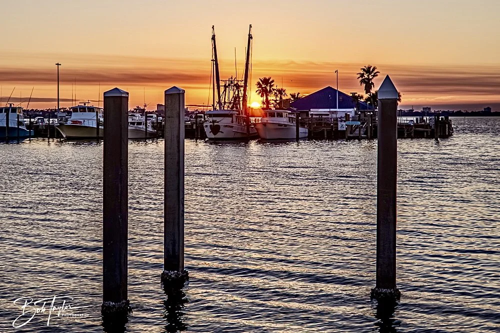 20250222-Walk Around -1.jpeg