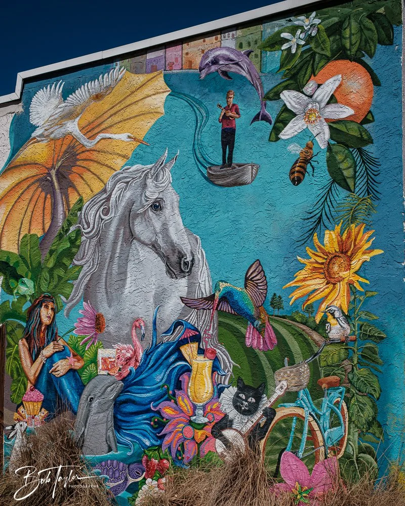 20250228-Photo Walk -19.jpg