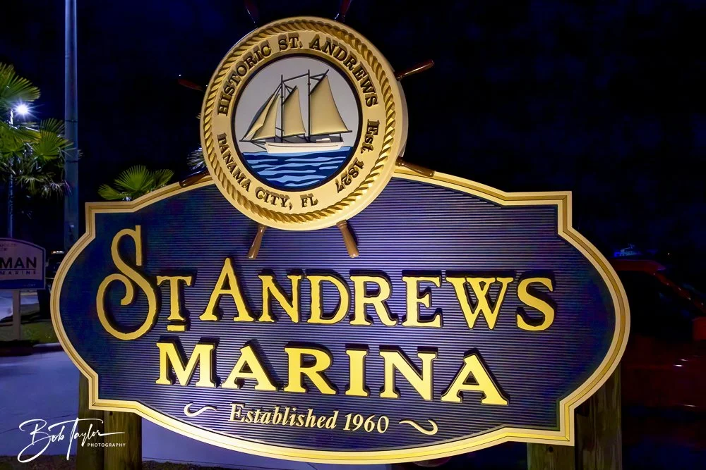 20250103-St Andrews Night -3.jpeg