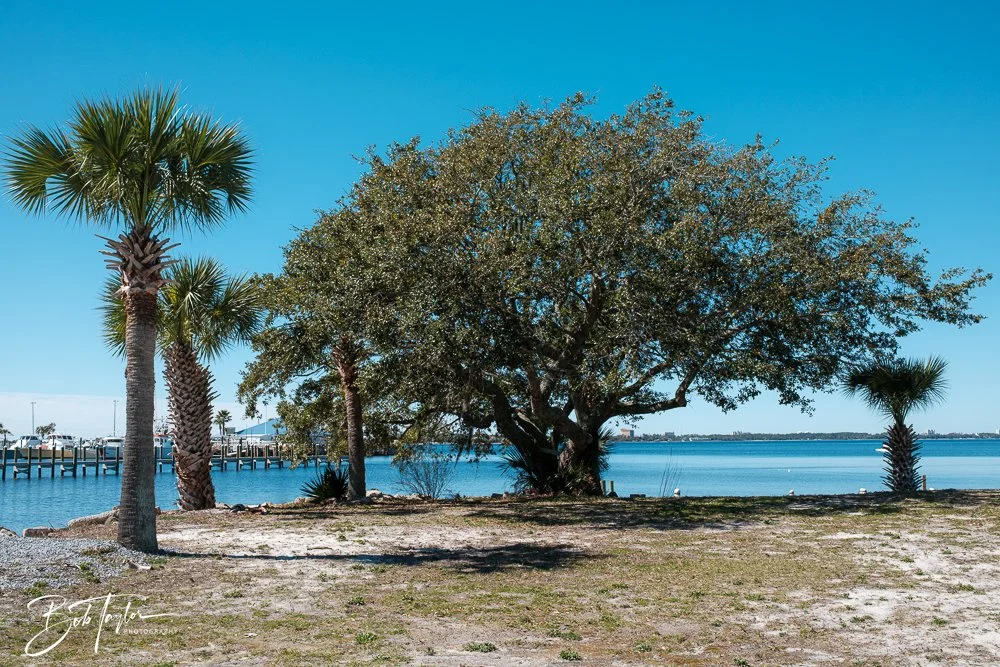 20250228-Photo Walk -7.jpg